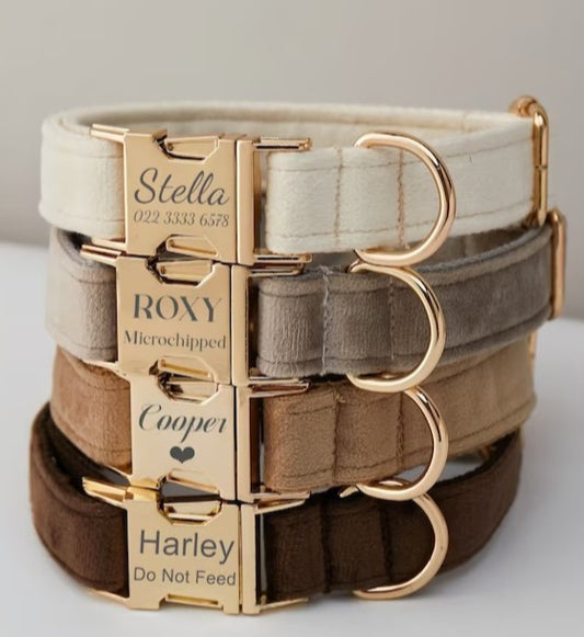 Personalized Velvet Dog Collar