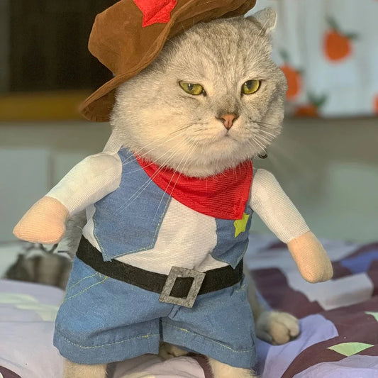 Cowboy Pet Costume