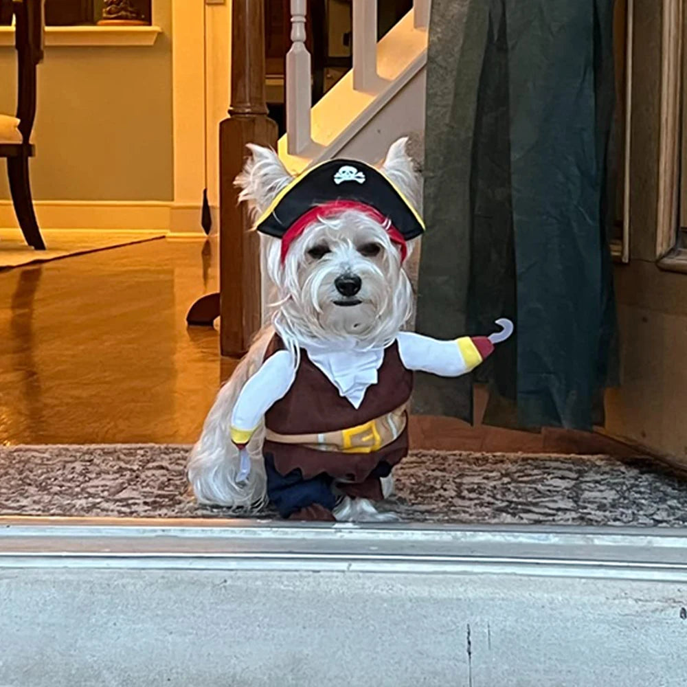 Pirate Halloween Pet Costume