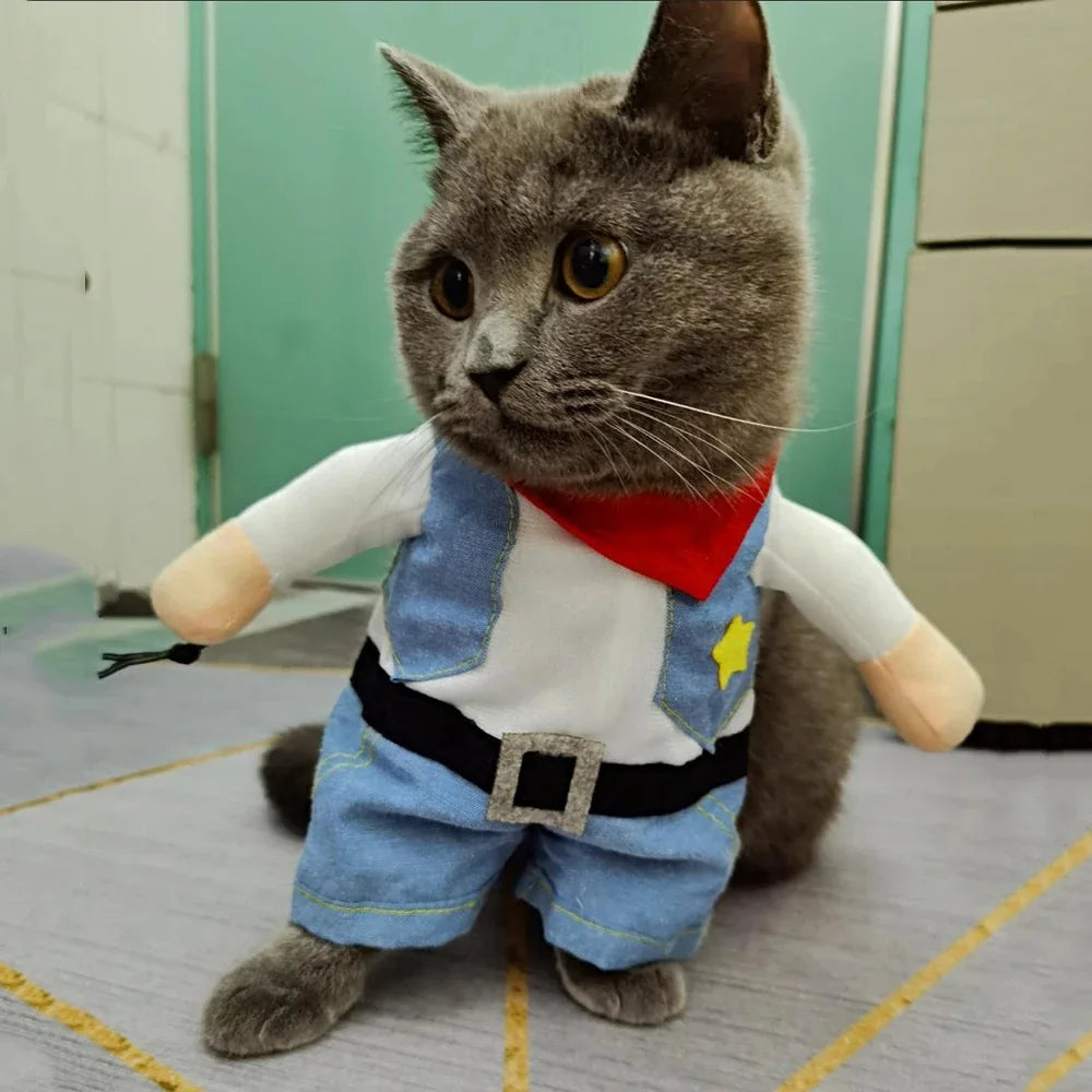 Cowboy Pet Costume