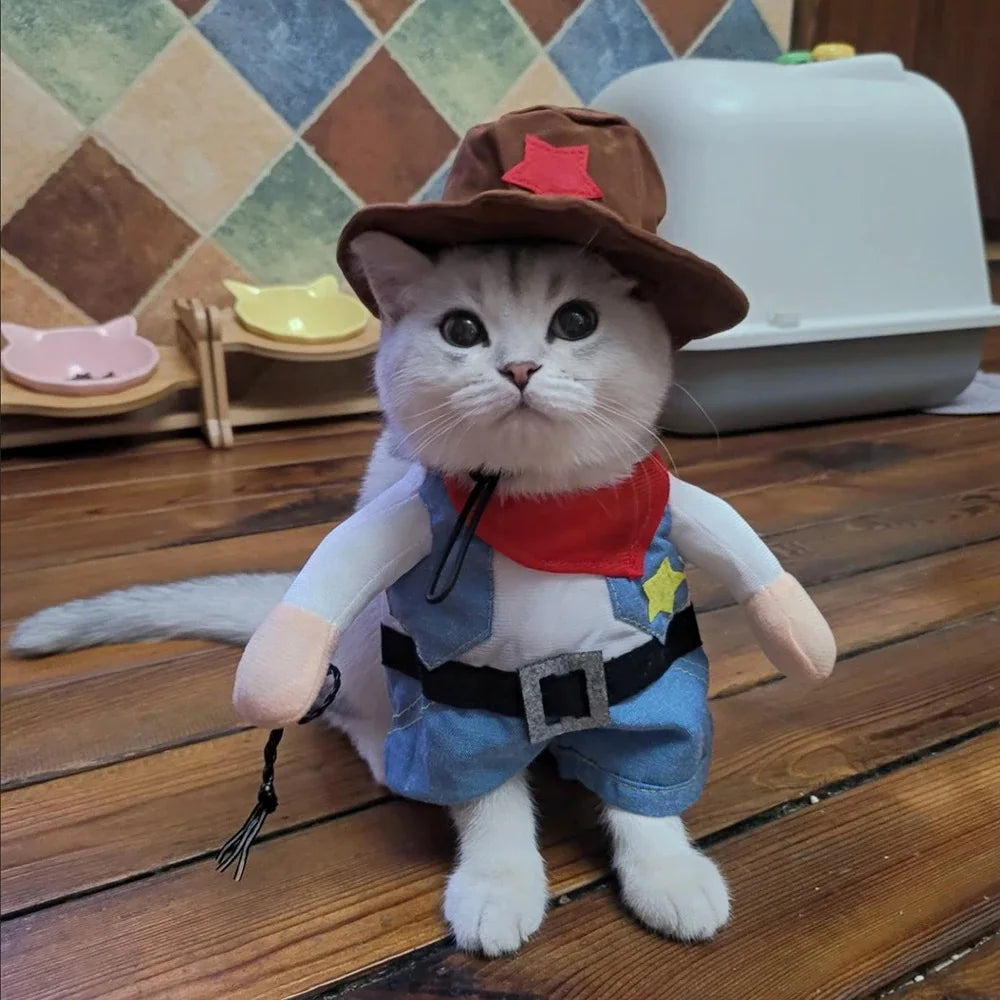 Cowboy Pet Costume