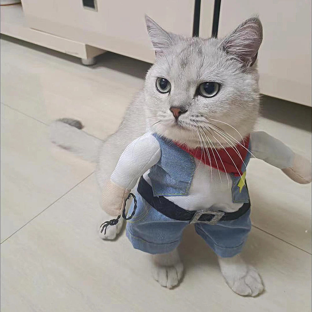 Cowboy Pet Costume