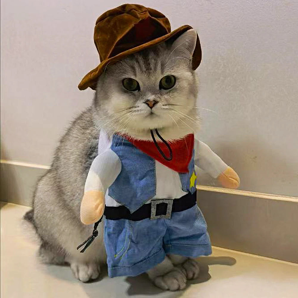 Cowboy Pet Costume