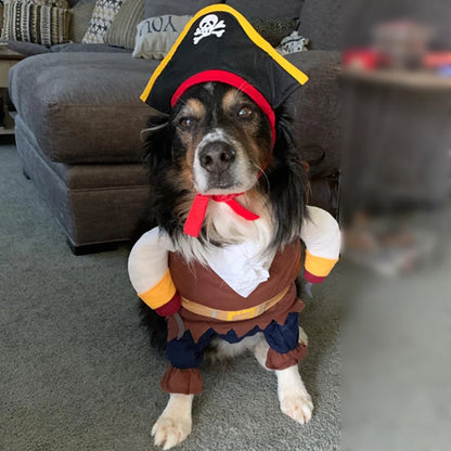 Pirate Halloween Pet Costume